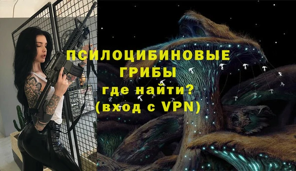 прущий лед Костерёво