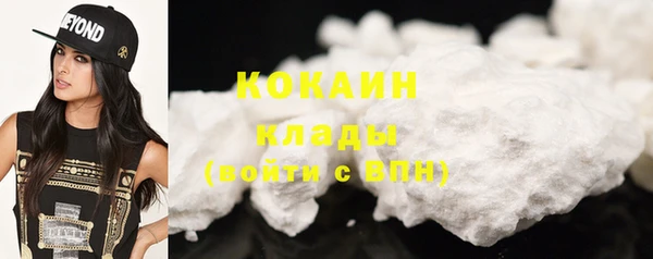 крисы Кодинск